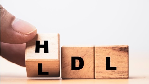 cholesterol HDL LDL